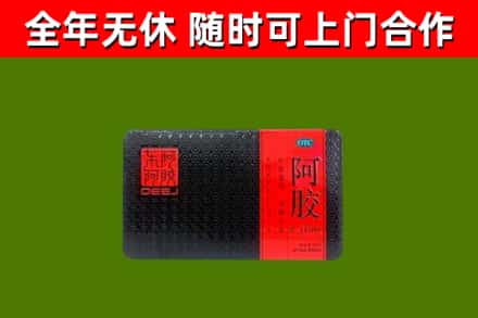 城中回收阿胶